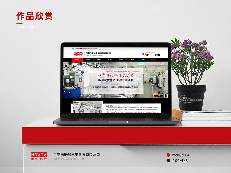 東莞網(wǎng)站建設案例